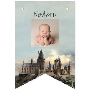 Bandeirinha Primeiro aniversario Harry Potter 12 Meses Foto Bu