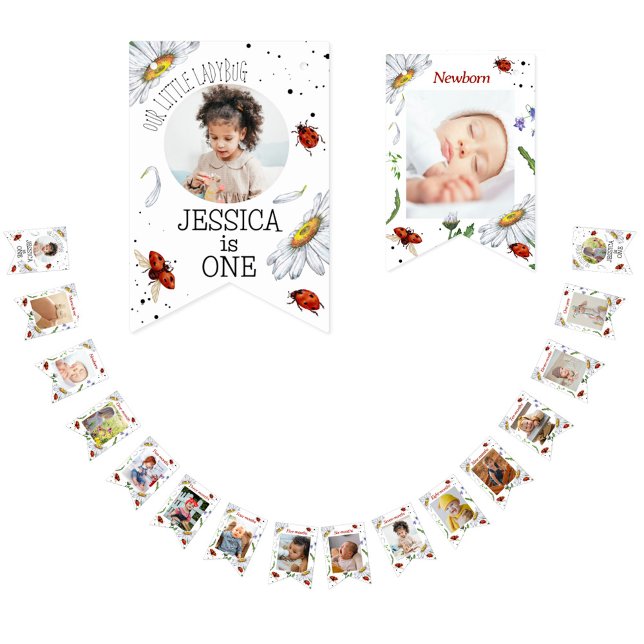 Bandeirinha Primeiro aniversario Ladybug Pedra Magro de Cores  (Criador carregado)
