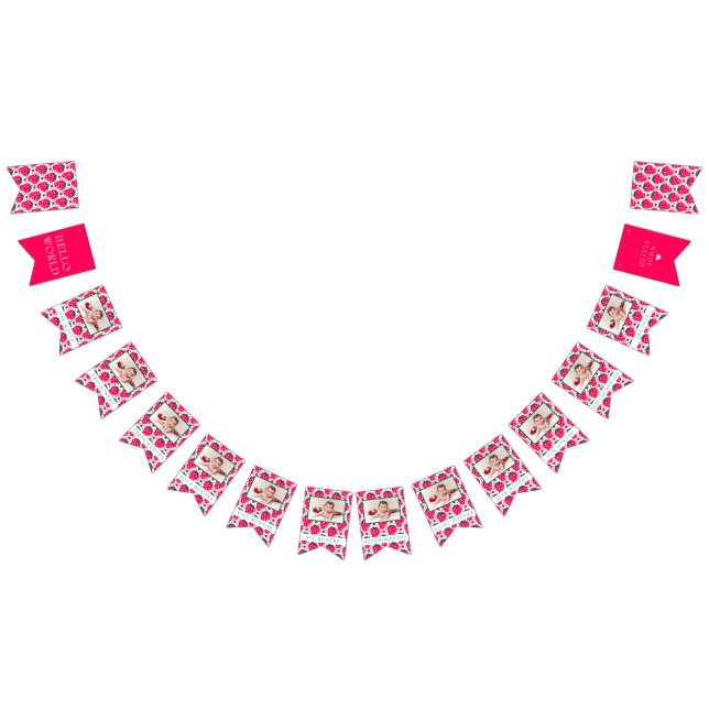 Bandeirinha Primeiro aniversario Milestones de Strawberry Girl (Todos)