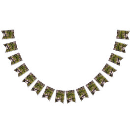 Bandeirinha Ramos grossos