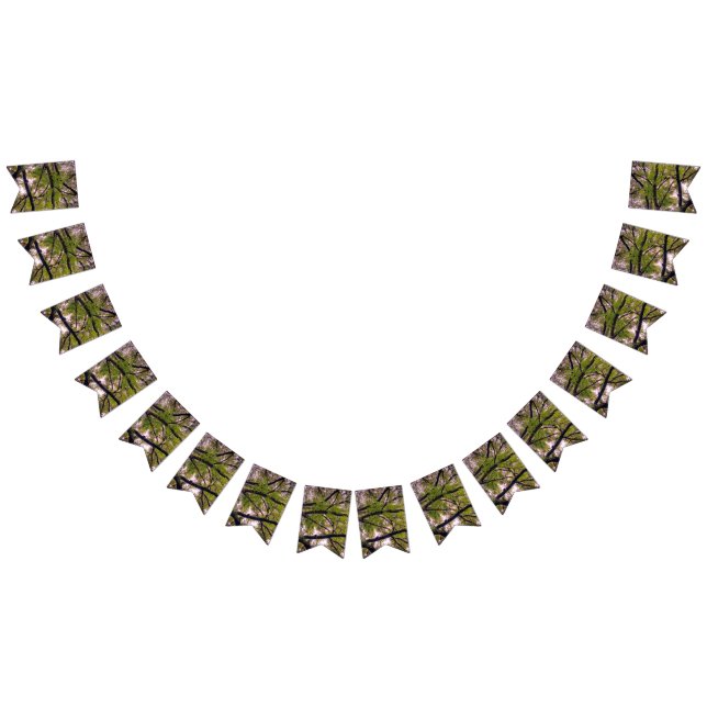 Bandeirinha Ramos grossos (Todos)