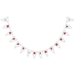 Bandeirinha Rookie Dos Sinalizadores De primeiro aniversario D