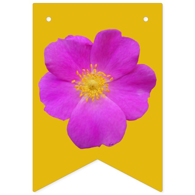 Bandeirinha Rosa selvagem 2 (Primeira Bandeira)