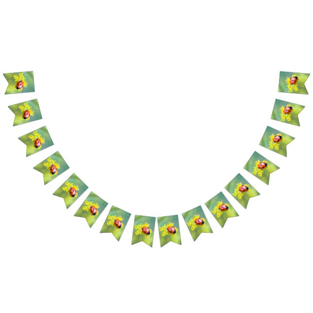 Bandeirinha senhora no topo (Todos)