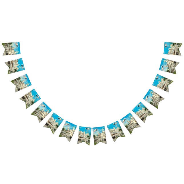 Bandeirinha She's Cosmic (Todos)