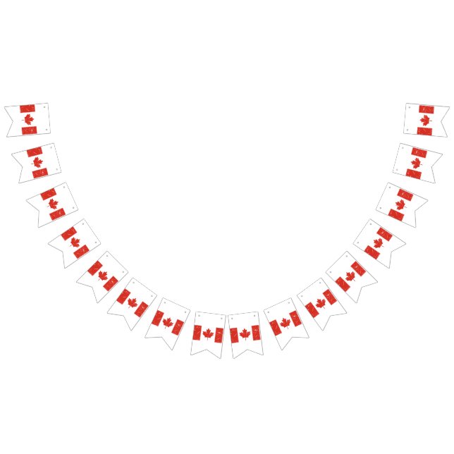 Bandeirinha Sinalizador Canadá (Todos)