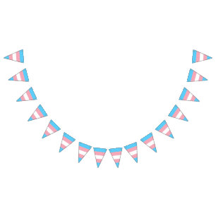 Bandeirinha Sinalizador do Orgulho Transgênero