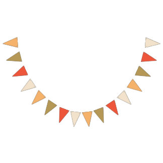 Bandeirinha Sinalizadores de Banner de Bunting Laranja Apricot