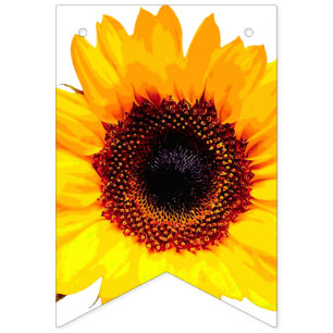 Bandeirinha Somente uma flor do girassol + seu backgr. &