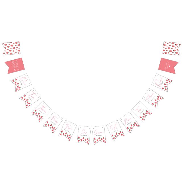 Bandeirinha Strawberry Girl Berry Primeiro Aniversário Milhare (Todos)