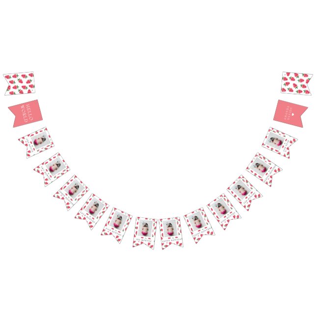 Bandeirinha Strawberry Girl First Birthday Milestones Fotograf (Todos)