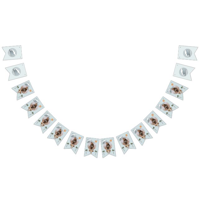 Bandeirinha Surf Os Grandes Sinalizadores De Cofragem De Anive (Todos)