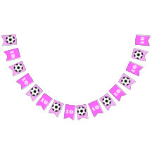 Tema da festa rosa das garotas da faixa de anivers