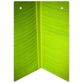 Bandeirinha Tema tropical. Banana Sai.