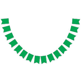 Bandeirinha Uma samambaia verde-luxuosa, delicada e intricada