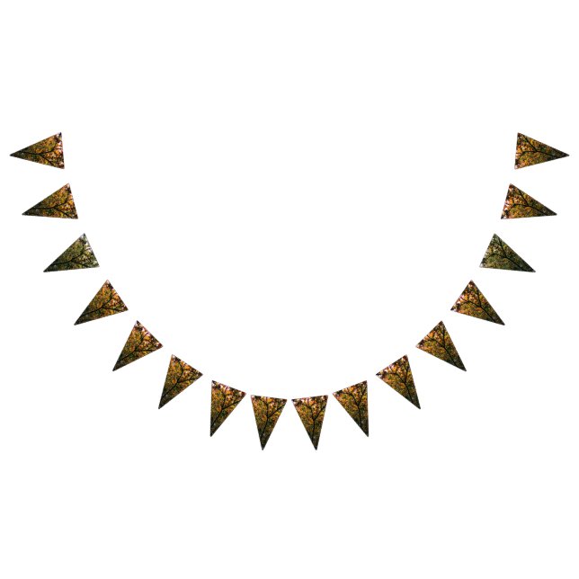 Bandeirinha Várias cores das folhas (Todos)