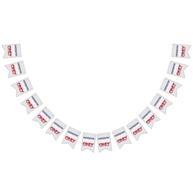 Bandeirinha Víblias Patrióticas Apenas Estrelas e Stripes EUA  (Todos)