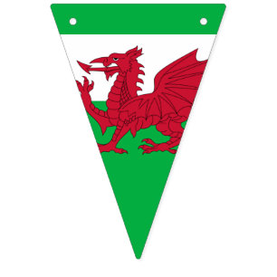 Bandeirinha Welsh Dragon ~ Flag of Wales