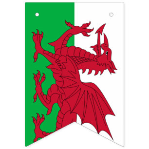 Bandeirinha Welsh Dragon ~ Flag of Wales