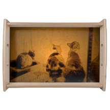 Amigos do gato