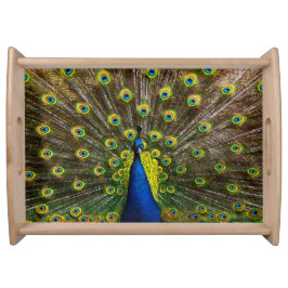 Bandeja Colorful peacock
