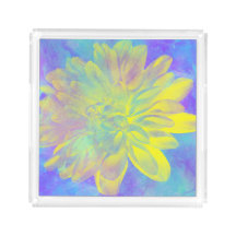 Bandeja de acrílico