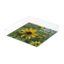 Bem-Vindo À Foto Da Flor Mundial Novo Bebê