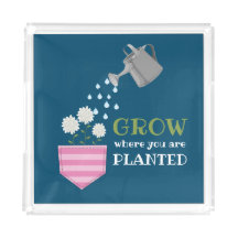 Cresça onde você é plantado, inspiração no bolso