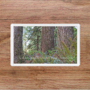 Bandeja De Acrílico John Muir Quote Giant Conifer Forest