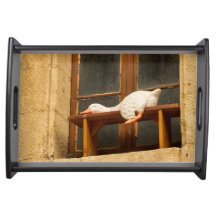 Bandeja de Serviço do Ganso Sonolento