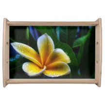 Bandeja de serviço Frangipani