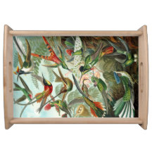 Bandeja do colibri