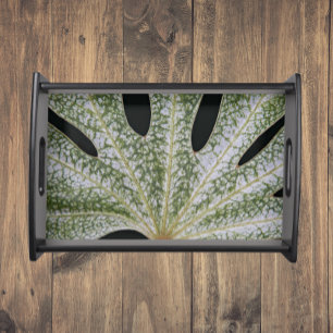 Bandeja Fatsia Leaf Floral Japonesa Variada