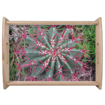 Linda Foto do Deserto Vermelho Cactus Close-up