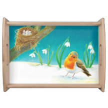 Red Robin Bird e Snowdrops Ilustração