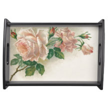 Rosa do rosa do vintage