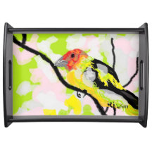 Tentativa de serviço: Tanagers Bird of Oregon