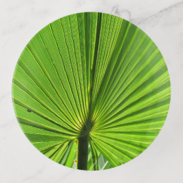 Bandejas Bandeja Trinket - Palma Verde Frond