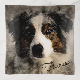 Bandejas Blue Collie