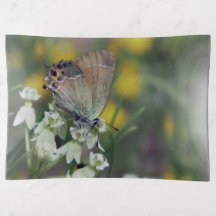Borboleta skipper em uma flor