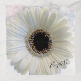 Bandejas Gerbera Flowers