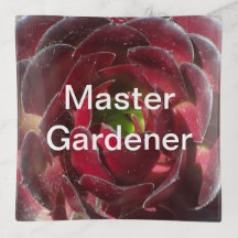 Master Gardener Coastal Plant Foto Red Succulent