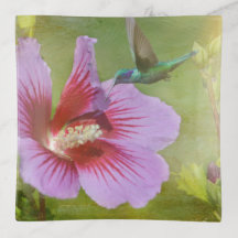 Néctar de Coleta de Hummingbird