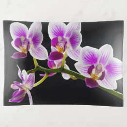 Bandejas Orquídea branca e roxa