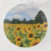 Tabuleiro de Trincheira de Sunflower Field