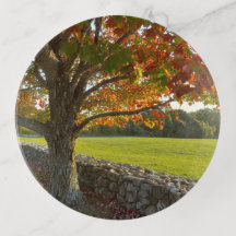 Uncanoonuc Autumn Tree Trinket Tray