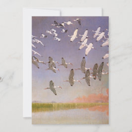Bando de Íbis Voando Sobre Áreas Alagadas, Aves An