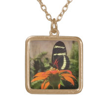 Borboleta na colar da flor