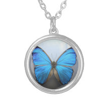 Colar da borboleta