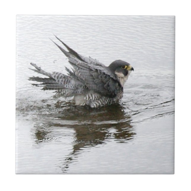 Banhando o azulejo pequeno da beleza (Frente)